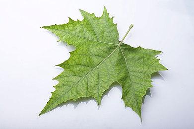 《黑暗世界 : 因与果》最新预告 2023年发售